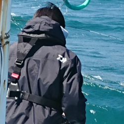 だて丸 釣果