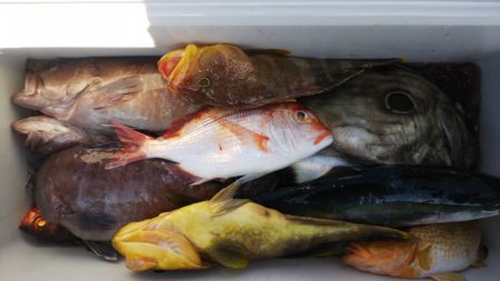 第二龍勢丸 釣果