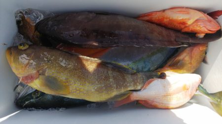 第二龍勢丸 釣果