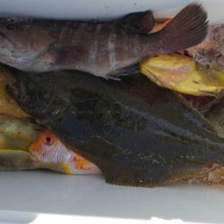 第二龍勢丸 釣果