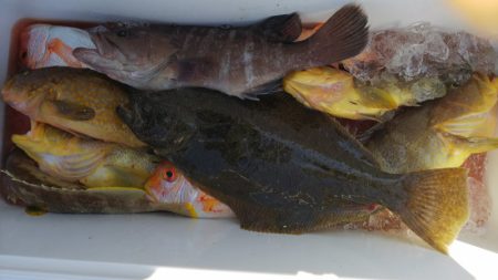 第二龍勢丸 釣果