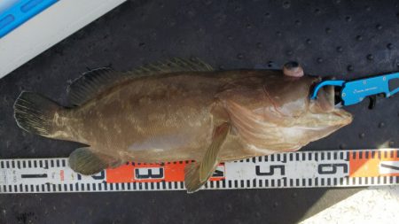 第二龍勢丸 釣果