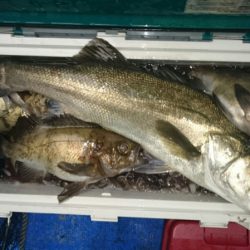 海龍丸（石川） 釣果