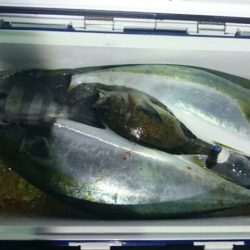 海龍丸（石川） 釣果