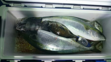 海龍丸（石川） 釣果