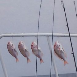 第二龍勢丸 釣果