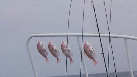 第二龍勢丸 釣果