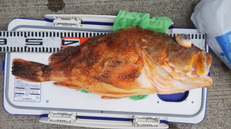 第二龍勢丸 釣果