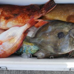 第二龍勢丸 釣果