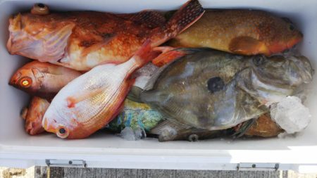 第二龍勢丸 釣果