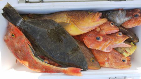 第二龍勢丸 釣果