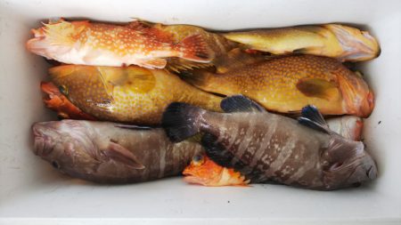 第二龍勢丸 釣果