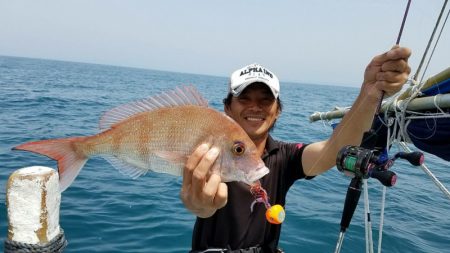 だて丸 釣果