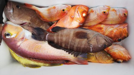 第二龍勢丸 釣果