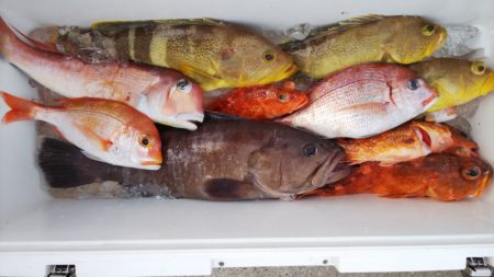 第二龍勢丸 釣果