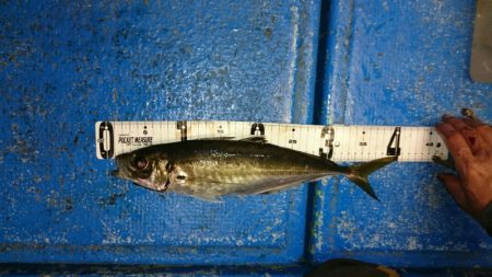 海龍丸（石川） 釣果