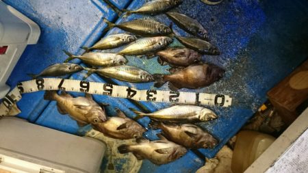 海龍丸（石川） 釣果