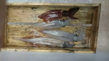 海龍丸（石川） 釣果