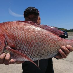 第三共栄丸 釣果