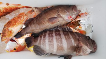 第二龍勢丸 釣果