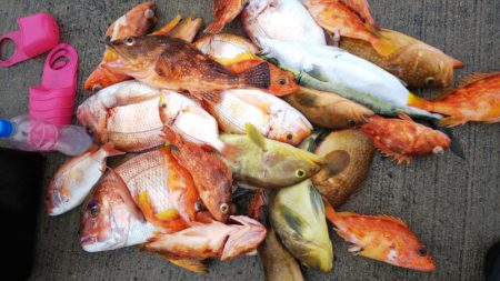 第二龍勢丸 釣果