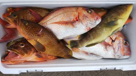 第二龍勢丸 釣果