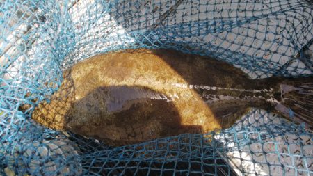 第二龍勢丸 釣果