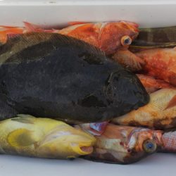 第二龍勢丸 釣果