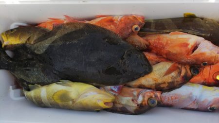 第二龍勢丸 釣果