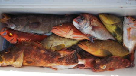 第二龍勢丸 釣果