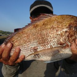 第三共栄丸 釣果