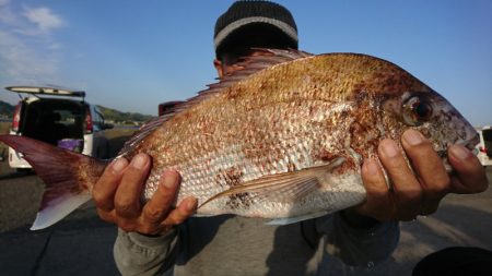 第三共栄丸 釣果