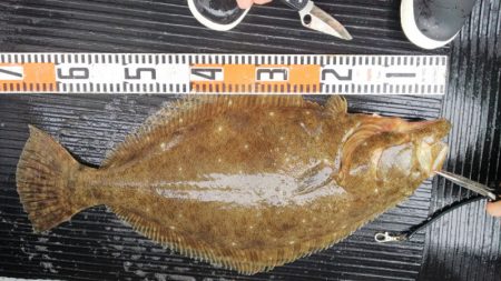 第二龍勢丸 釣果