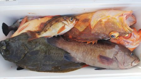 第二龍勢丸 釣果