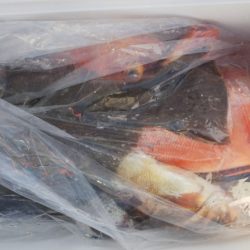 第二龍勢丸 釣果