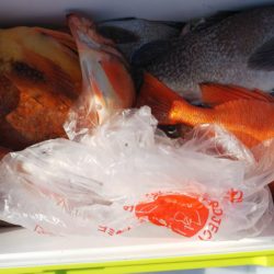 第二龍勢丸 釣果