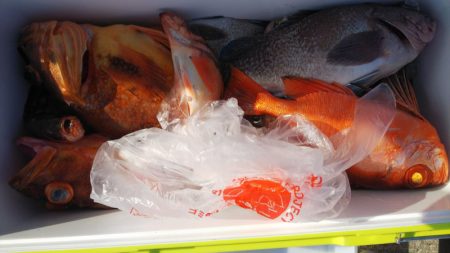 第二龍勢丸 釣果