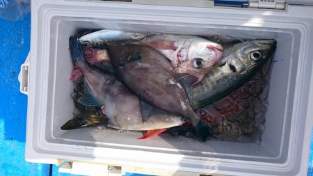 海龍丸（石川） 釣果