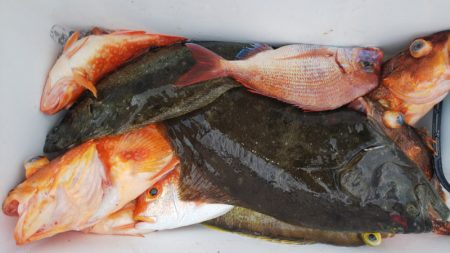 第二龍勢丸 釣果