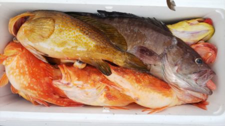 第二龍勢丸 釣果