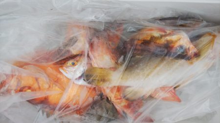 第二龍勢丸 釣果