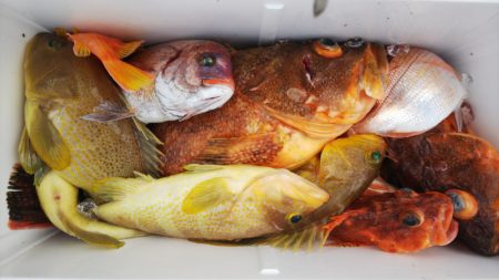 第二龍勢丸 釣果