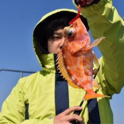 渡船屋たにぐち 釣果