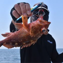 渡船屋たにぐち 釣果