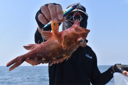 渡船屋たにぐち 釣果