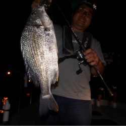 Chase（チェイス） 釣果