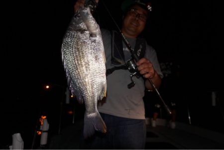 Chase（チェイス） 釣果