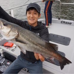 Chase（チェイス） 釣果