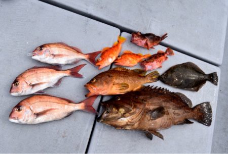 渡船屋たにぐち 釣果