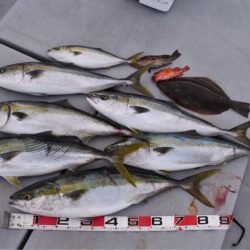 渡船屋たにぐち 釣果